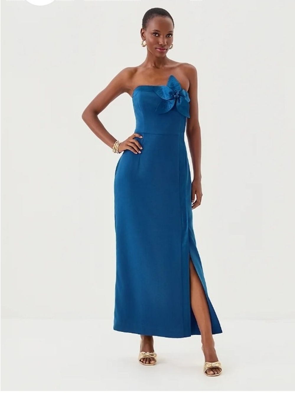 Lilly Pulitzer Anasophia Maxi NWT 10